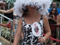 Fashion at the Races at Arlington Million Fashion Contest LymanDVM Photography  (77)