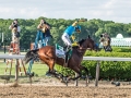 American Pharoah wins the Triple Crown Longines  2