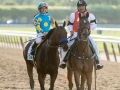 American Pharoah wins the Triple Crown Longines 3