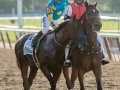 American Pharoah wins the Triple Crown Longines 4