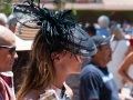 delmar-Fashion at the Races 78