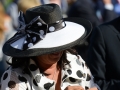 Kentucky Derby Fashion at the Races Joe Lyman Photo (2113)