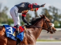 Fashion at the Races at Woodbine Queen\'s Plate Photo by Jesse Caris (35)