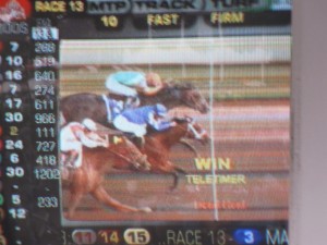 Dead Heat